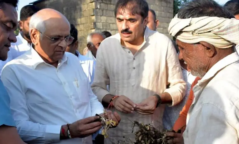 કમોસમી વરસાદથી પાકને ભારે નુકસાન: રાહત પેકેજની જાહેરાત છતાં સહાયની રકમ ઘટાતા ખેડૂતોમાં રોષ