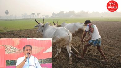 રાજ્યમાં કમોસમી વરસાદથી થયેલા નુકસાનીના વળતર મુદ્દે અમરેલી કૉંગ્રેસ દ્વારા ખેડૂત સત્યાગ્રહની શરૂઆત કરવામાં આવી હતી. જેમાં અમરેલી કૉંગ્રેસના બે