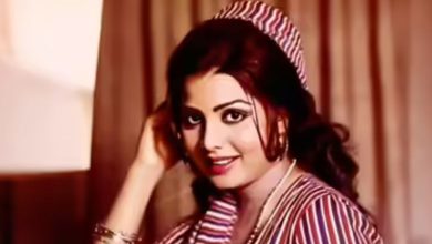 70-80ના દાયકાની આ દિગ્ગજ ગાયિકા અને અભિનેત્રીનું 71 વર્ષની વયે અવસાન: બ્રેકઅપ બાદ લીધો હતો મોટો નિર્ણય