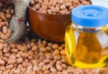 લગ્નગાળાની શરૂઆત થતાં સિંગતેલના ડબ્બાના ભાવમાં રૂ. 210નો વધારો દર્શાવતું ચિત્ર.