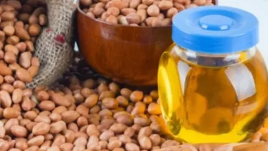 લગ્નગાળાની શરૂઆત થતાં સિંગતેલના ડબ્બાના ભાવમાં રૂ. 210નો વધારો દર્શાવતું ચિત્ર.