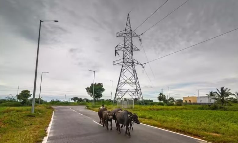 ગુજરાતના છ જિલ્લાને રવિ પાક માટે મળશે વધારાની વીજળી, ક્યા વિસ્તારોને થશે લાભ