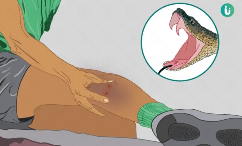 ભુજની અદાણી જી.કે. જનરલ હોસ્પિટલમાં સર્પદંશના દર્દીઓની સારવાર કરતા તબીબો અને હોસ્પિટલનો દૃશ્ય.