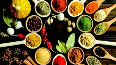 Focus Plus Fresh Spices are the pride of an Indian housewife's kitchen