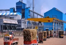 મહારાષ્ટ્રની ૧૭૦ ખાંડ મિલોએ શેરડી પિલાણ શરૂ કર્યું, નિકાસ ક્વોટાની ફાળવણી