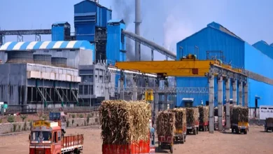 મહારાષ્ટ્રની ૧૭૦ ખાંડ મિલોએ શેરડી પિલાણ શરૂ કર્યું, નિકાસ ક્વોટાની ફાળવણી