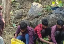 લાયસન્સ વિનાના હથિયારો રાખી ગેરકાયદે વન્યજીવના શિકાર કરતા દસ શિકારીને ઈકબાલગઢ ફોરેસ્ટ રેન્જ ટીમે પકડી પાડ્યા હતા.