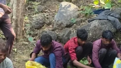 લાયસન્સ વિનાના હથિયારો રાખી ગેરકાયદે વન્યજીવના શિકાર કરતા દસ શિકારીને ઈકબાલગઢ ફોરેસ્ટ રેન્જ ટીમે પકડી પાડ્યા હતા.