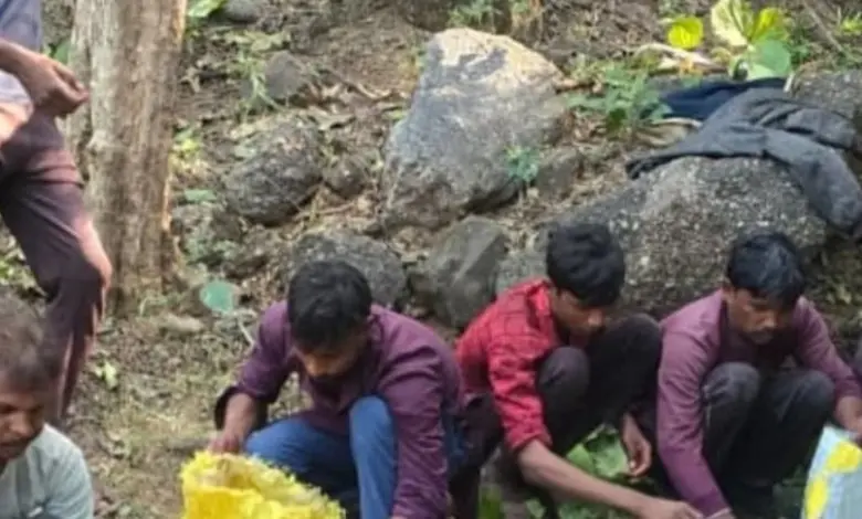 લાયસન્સ વિનાના હથિયારો રાખી ગેરકાયદે વન્યજીવના શિકાર કરતા દસ શિકારીને ઈકબાલગઢ ફોરેસ્ટ રેન્જ ટીમે પકડી પાડ્યા હતા.