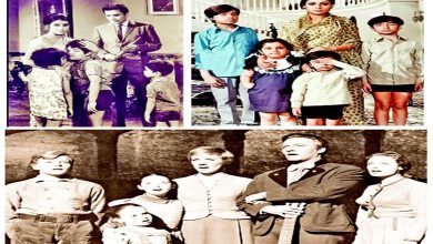 Three children's films have a special similarity