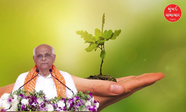 ગુજરાતમાં PPP મોડેલ દ્વારા વૃક્ષારોપણ અને ગ્રીન કવર વધારતી અનોખી પહેલ.