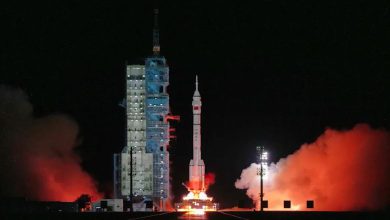 4 ઉંદર, 3 અવકાશયાત્રી સાથે સ્પેસમાં પહોંચ્યા: ચીને સર્જ્યો અનોખો રેકોર્ડ