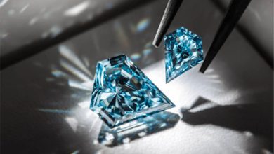 બ્રાન્ડ બનશે બિઝનેસ વધશે : લેબ ગ્રોન ડાયમંડ (કૠઉ)... એ કેટેગરી છે કે કોમોડિટી?