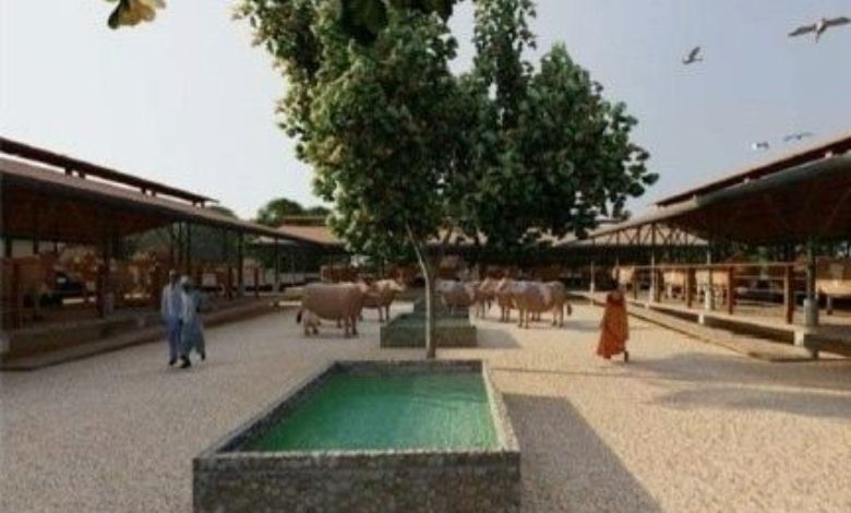 ઐતિહાસિક વડનગર હવે વૈશ્વિક પ્રવાસન નકશા પર: ₹૧૫ કરોડના ખર્ચે દેશનો પ્રથમ ‘વૃંદાવન ગૌચર પાર્ક’ બનશે!