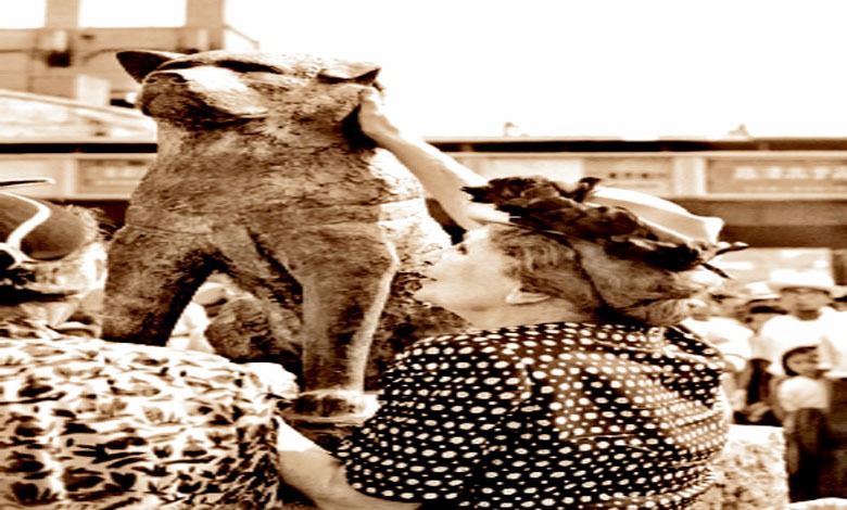 ભાત ભાત કે લોગઃ વફાદાર શ્વાન અળખામણો કેમ થાય છે?