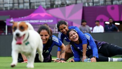 INDW vs RSAW • Final • ICC Womens World Cup 2025 Series ICC Womens World Cup 2025