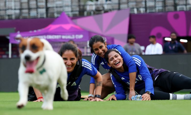 INDW vs RSAW • Final • ICC Womens World Cup 2025 Series ICC Womens World Cup 2025