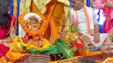 Divine celebration of Thakorji and Tulsiji's wedding in Gujarat; Joy in Dwarka-Dakor-Shamlaji!