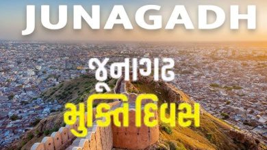 Pak. Professor's big confession: Pakistan's claim on Junagadh is false, India has the real right on Kashmir!