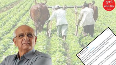 Salute to the courage of 'Jagatna Tat'! The farmers were ruined by the drought, but they did not give up; A new beginning of cultivation in this district