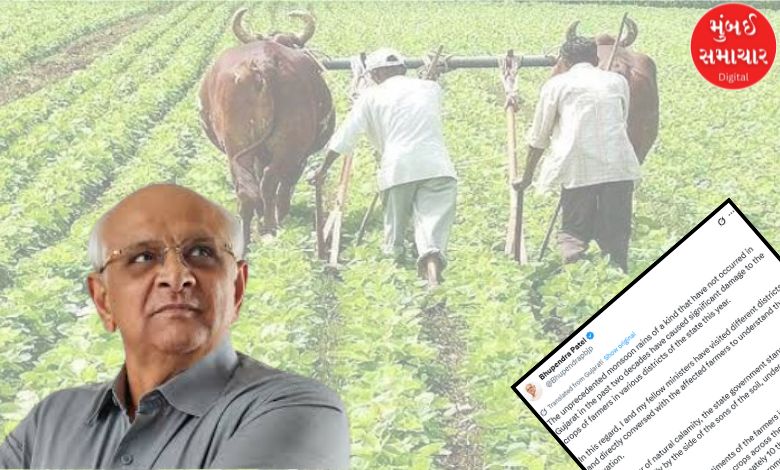 Salute to the courage of 'Jagatna Tat'! The farmers were ruined by the drought, but they did not give up; A new beginning of cultivation in this district