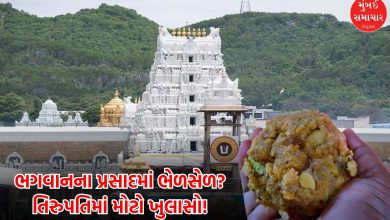 Big revelation issue fat being mixed Tirupati prasad financial transactions worth Rs 50 lakhs made