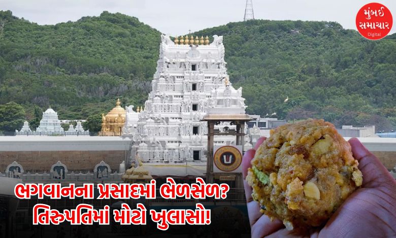 Big revelation issue fat being mixed Tirupati prasad financial transactions worth Rs 50 lakhs made