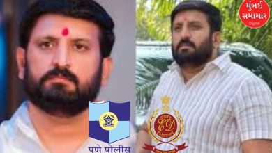 Pune Police Seeks ED Action on Gangster's Assets nilesh ghaiwal