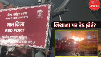 Delhi blast: There was a plan to blast at Red Fort, Jaish-e-Mohammed suspected