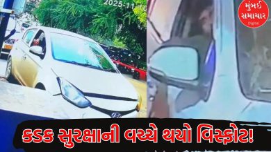 How did terrorists escape security checks Delhi blast Many questions arise