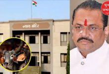 Gujarat Amreli Historic verdict cow slaughter case three accused sentenced life imprisonment