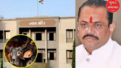 Gujarat Amreli Historic verdict cow slaughter case three accused sentenced life imprisonment