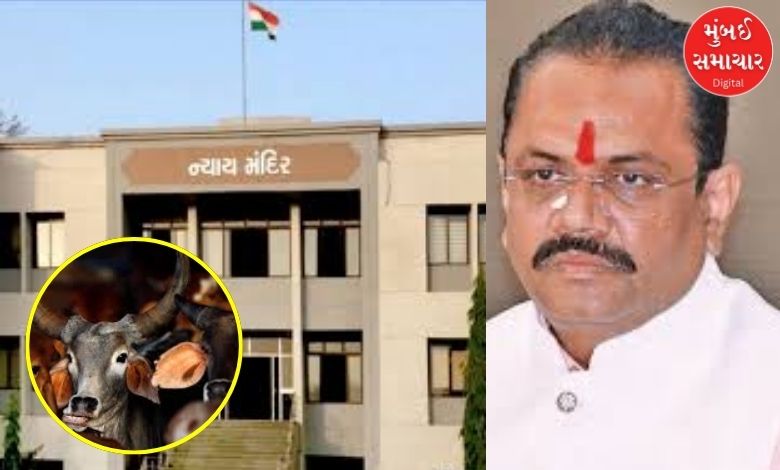 Gujarat Amreli Historic verdict cow slaughter case three accused sentenced life imprisonment