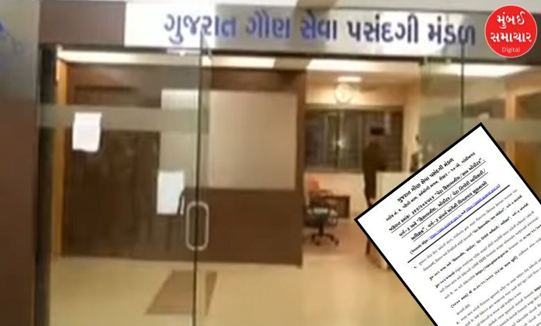 Golden opportunity for B.Com, BBA graduates! GSSSB announces recruitment for 426 posts