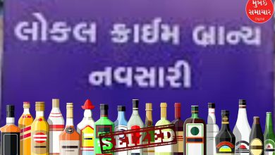navsari police seized 1 crore foreign liquor smuggling under garlic