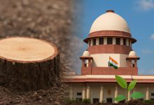 SC Allows Tree Cutting for Mumbai Link Road Project
