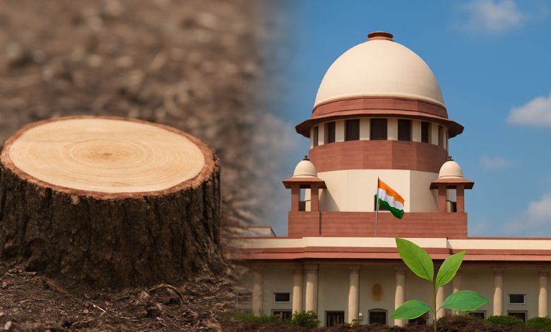 SC Allows Tree Cutting for Mumbai Link Road Project