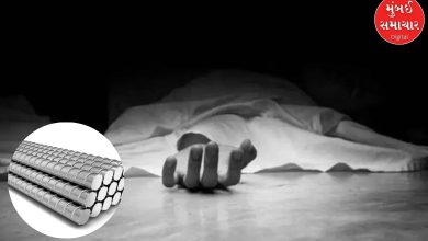 Worker Killed in Palghar Steel Plant Accident