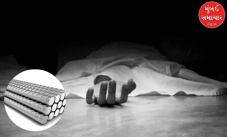 Worker Killed in Palghar Steel Plant Accident