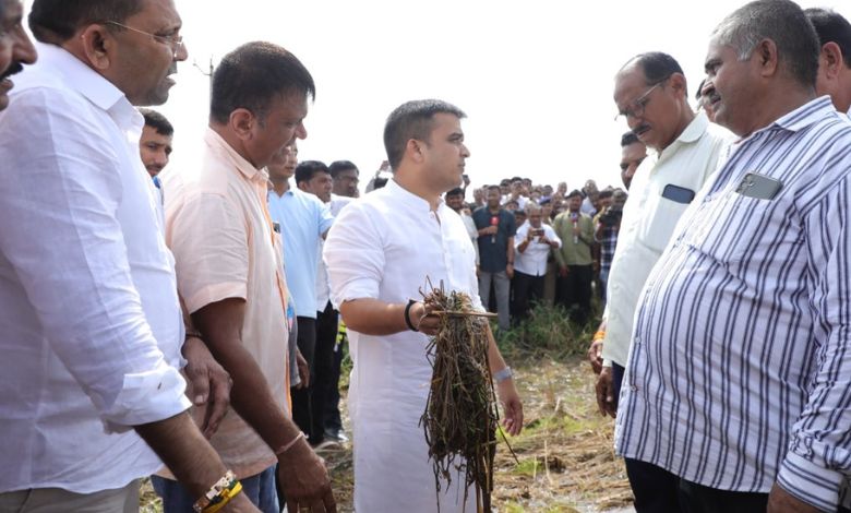 Harsh Sanghvi meeting farmers in Olpad, Surat after paddy crop damage due to heavy rain