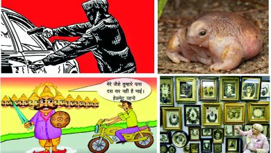 અજબ ગજબની દુનિયાના સમાચાર: રશિયામાં કાર ચોરીનું નાટક, ટર્ટલ ફ્રોગ, ઢોલ મંજીરા ટ્રાફિક અને કેશ મ્યુઝિયમ