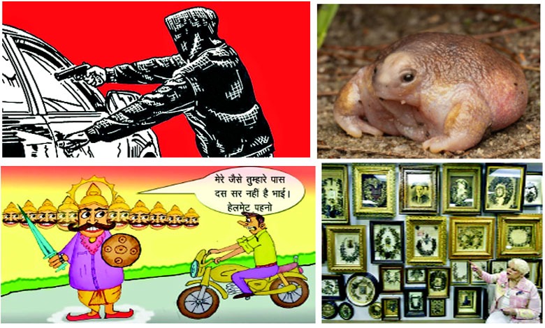 અજબ ગજબની દુનિયાના સમાચાર: રશિયામાં કાર ચોરીનું નાટક, ટર્ટલ ફ્રોગ, ઢોલ મંજીરા ટ્રાફિક અને કેશ મ્યુઝિયમ