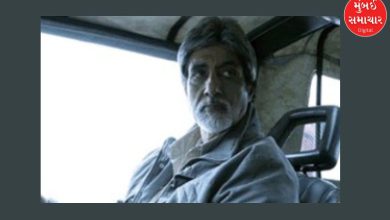 You won't be able to watch this Amitabh Bachchan film with your family, there are scenes with an actress 46 years younger than you...