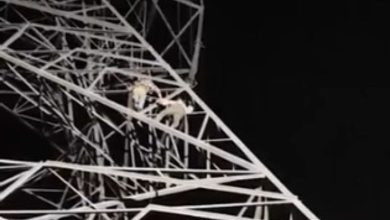 પત્ની રિસાઈને ગઈ તો પતિ ઇલેક્ટ્રિક ટાવર પર ચઢ્યો, સ્થાનિકોએ ફાયરબ્રિગેડને જાણ કરી