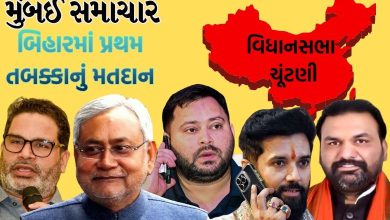 બિહાર વિધાનસભા ચૂંટણી, પ્રથમ તબક્કાનું મતદાન, 6 નવેમ્બર