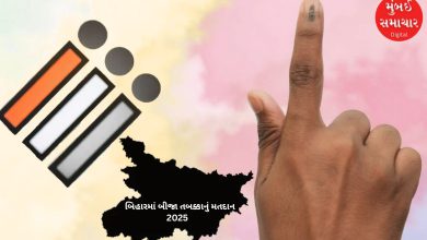 Final phase of voting in Bihar tomorrow; The future of 1302 candidates and the reputation of veterans in the hands of 3.7 crore voters