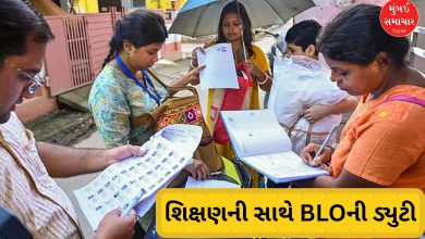 BLOની કામગીરી ફરજિયાત: પ્રધાન ઈશ્વરસિંહ પટેલનું નિવેદન, કામના ભારણથી શિક્ષકોના મૃત્યુ