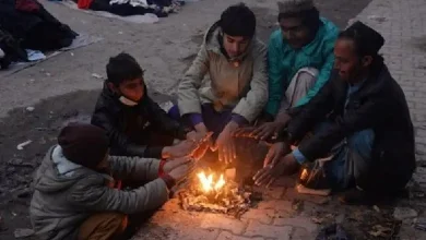 ઠંડીની ઋતુ જામી: રાજ્યના અનેક શહેરોમાં તાપમાનનો પારો નીચે ગગડ્યો; જાણો તમારા શહેરનું હવામાન