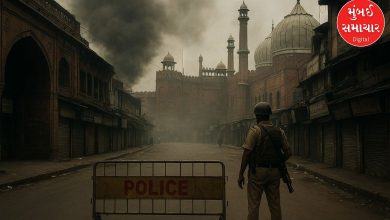 દિલ્હી બોમ્બ બ્લાસ્ટ: ચાંદની ચોક, જામા મસ્જિદમાં સન્નાટો જનજીવન ઠપ્પ, જાણો શું અત્યારનો માહોલ