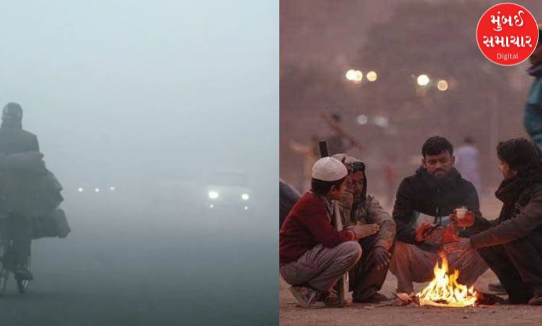 દિલ્હી-NCRમાં પ્રદૂષણ વચ્ચે ધુમ્મસ, UP-બિહારમાં કોલ્ડ વેવની આપી હવામાન વિભાગે આગાહી